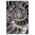 Led Wandbild Muschel Fossil No 3 Hochformat Produktvorschau Frontal