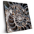 Led Wandbild Muschel Fossil No 3 Quadrat Produktvorschau Seitlich