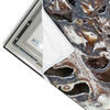 Led Wandbild Muschel Fossil No 3 Querformat Materialvorschau
