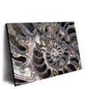 Led Wandbild Muschel Fossil No 3 Querformat Produktvorschau Seitlich