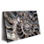 Led Wandbild Muschel Fossil No 3 Querformat Produktvorschau Seitlich