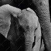 Led Wandbild Mutter Baby Elefant Hochformat Zoom