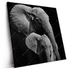 Led Wandbild Mutter Baby Elefant Quadrat Produktvorschau Seitlich