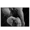 Led Wandbild Mutter Baby Elefant Querformat Produktvorschau Frontal