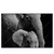 Led Wandbild Mutter Baby Elefant Querformat Produktvorschau Frontal