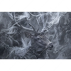 Led Wandbild Mystischer Hirsch Im Nebel Querformat Motivvorschau