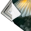 Led Wandbild Mystischer Schwan Im Nebel Panorama Materialvorschau