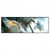 Led Wandbild Mystischer Schwan Im Nebel Panorama Produktvorschau Frontal