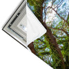 Led Wandbild Mystischer Wald Hochformat Materialvorschau