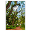 Led Wandbild Mystischer Wald Hochformat Produktvorschau Frontal