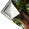 Led Wandbild Mystischer Wald Panorama Materialvorschau