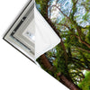 Led Wandbild Mystischer Wald Quadrat Materialvorschau