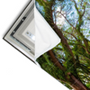 Led Wandbild Mystischer Wald Querformat Materialvorschau