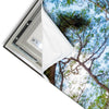 Led Wandbild Mystischer Wald Schmal Materialvorschau