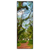 Led Wandbild Mystischer Wald Schmal Produktvorschau Frontal