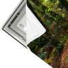 Led Wandbild Natuerlicher Wald Panorama Materialvorschau