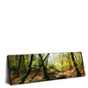 Led Wandbild Natuerlicher Wald Panorama Produktvorschau Seitlich