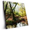 Led Wandbild Natuerlicher Wald Quadrat Produktvorschau Seitlich