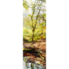 Led Wandbild Natuerlicher Wald Schmal Motivvorschau