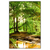 Led Wandbild Natur Pur Der Wald Hochformat Produktvorschau Frontal