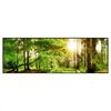 Led Wandbild Natur Pur Der Wald Panorama Produktvorschau Frontal