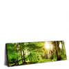 Led Wandbild Natur Pur Der Wald Panorama Produktvorschau Seitlich