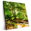 Led Wandbild Natur Pur Der Wald Quadrat Produktvorschau Seitlich