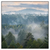 Led Wandbild Nebel Im Wald Quadrat Produktvorschau Frontal