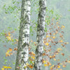Led Wandbild Nebliger Birkenwald Querformat Zoom