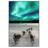 Led Wandbild Nordlichter Und Schlittenhunde Hochformat Produktvorschau Frontal