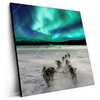 Led Wandbild Nordlichter Und Schlittenhunde Quadrat Produktvorschau Seitlich