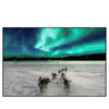 Led Wandbild Nordlichter Und Schlittenhunde Querformat Produktvorschau Frontal