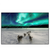 Led Wandbild Nordlichter Und Schlittenhunde Querformat Produktvorschau Frontal