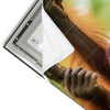 Led Wandbild Orang Utan Familie Im Regenwald Panorama Materialvorschau