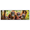 Led Wandbild Orang Utan Familie Im Regenwald Panorama Produktvorschau Frontal