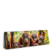 Led Wandbild Orang Utan Familie Im Regenwald Panorama Produktvorschau Seitlich