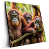Led Wandbild Orang Utan Familie Im Regenwald Quadrat Produktvorschau Seitlich