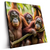 Led Wandbild Orang Utan Familie Im Regenwald Quadrat Produktvorschau Seitlich