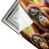 Led Wandbild Orang Utan Familie Im Regenwald Querformat Materialvorschau