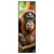Led Wandbild Orang Utan Familie Im Regenwald Schmal Produktvorschau Frontal