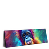 Led Wandbild Orang Utan In Regenbogenfarben Panorama Produktvorschau Seitlich