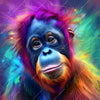 Led Wandbild Orang Utan In Regenbogenfarben Quadrat Motivvorschau