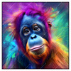 Led Wandbild Orang Utan In Regenbogenfarben Quadrat Produktvorschau Frontal