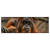 Led Wandbild Orang Utan Mit Sanftem Blick Panorama Produktvorschau Frontal