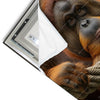 Led Wandbild Orang Utan Mit Sanftem Blick Quadrat Materialvorschau