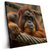 Led Wandbild Orang Utan Mit Sanftem Blick Quadrat Produktvorschau Seitlich