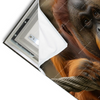Led Wandbild Orang Utan Mit Sanftem Blick Querformat Materialvorschau