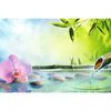 Led Wandbild Orchidee Im Japanischer Brunnen Querformat Motivvorschau