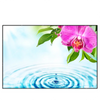 Led Wandbild Orchidee Wassertropfen Querformat Produktvorschau Frontal