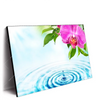 Led Wandbild Orchidee Wassertropfen Querformat Produktvorschau Seitlich